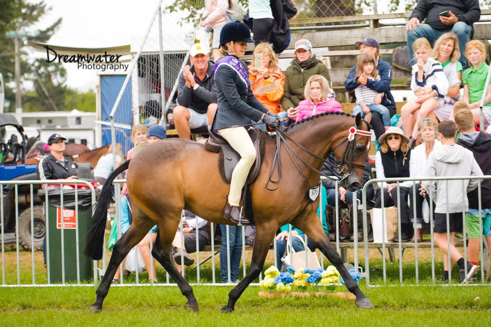 Natasha Waddell Sponsored Westwind Equine Rider Dressage
