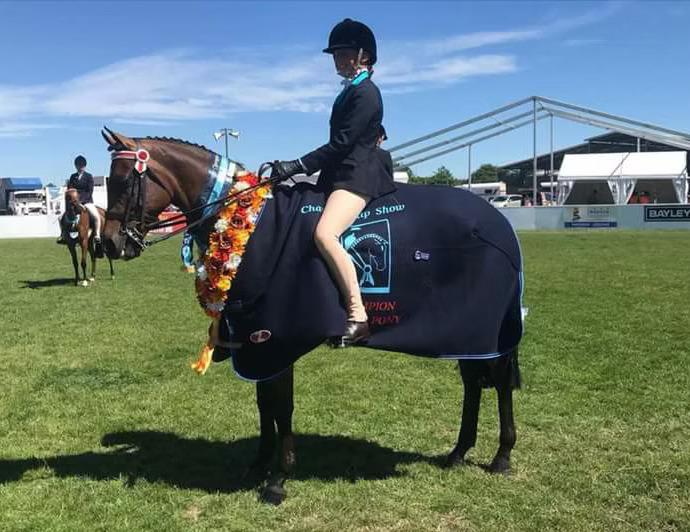 Sponsored Westwind Equine Rider