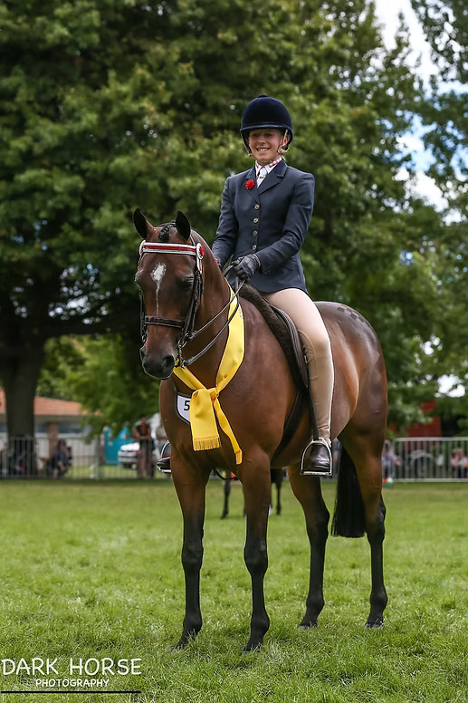 Natasha Waddell Sponsored Westwind Equine Rider on horse