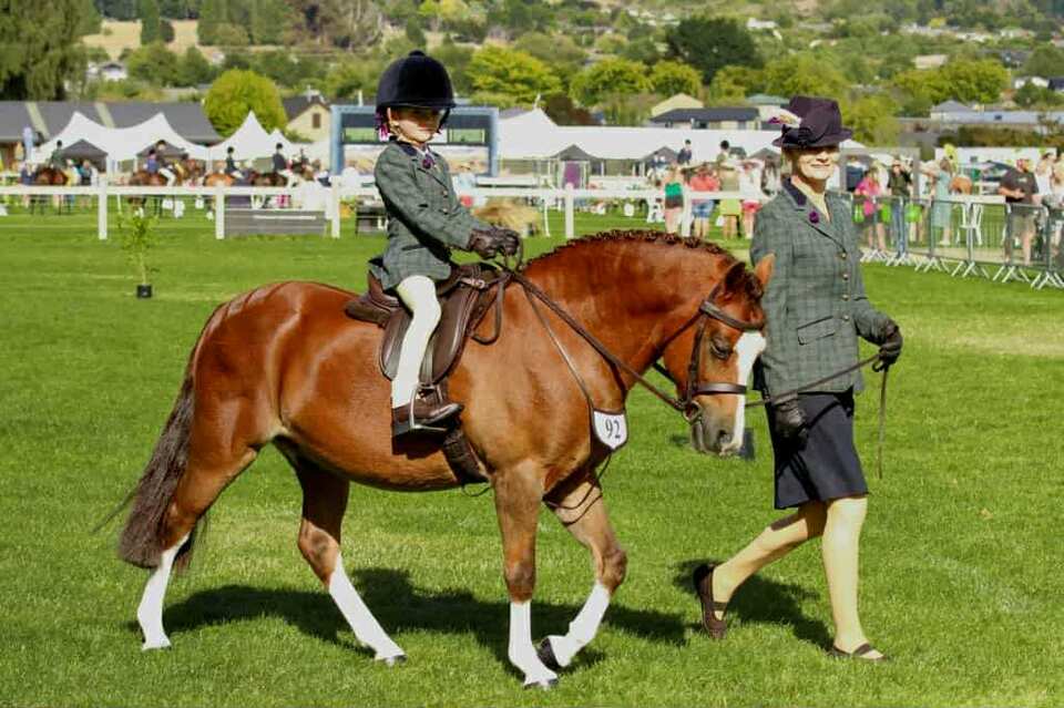 AJ & Keevha Wilson Sponsored Westwind Equine Rider